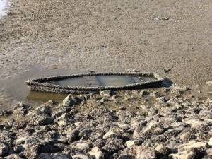 Ausflug zum Möhnesee Ausflug zum Möhnesee