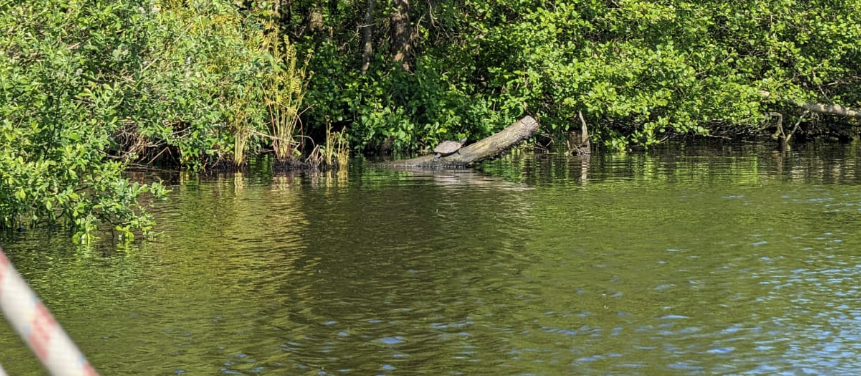 Familiensegeln in Friesland