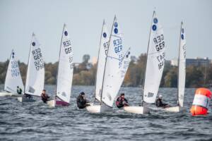 Europe – Herbstregatten