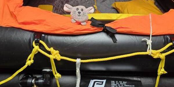 Sicherheitstraining 2025